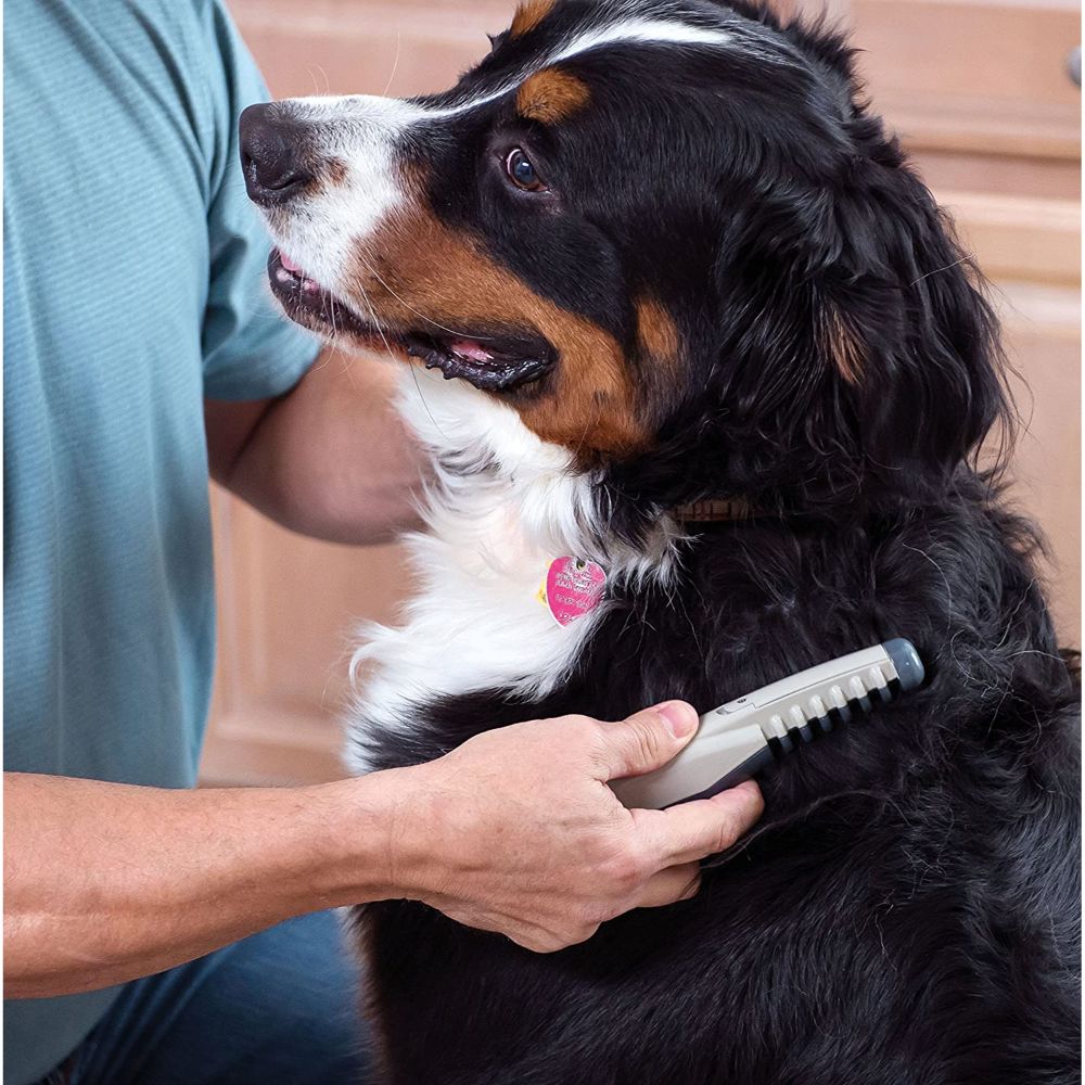 Allstar Innovations Knot Out Electric Pet Grooming Comb – Remove Knots and  Tangles – Sun-Light Store